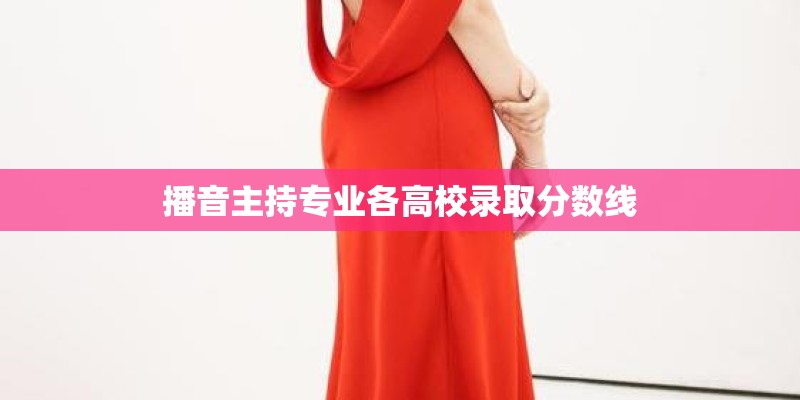 播音主持专业各高校录取分数线