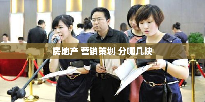 房地产 营销策划 分哪几块