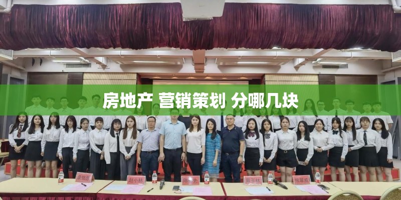 房地产 营销策划 分哪几块
