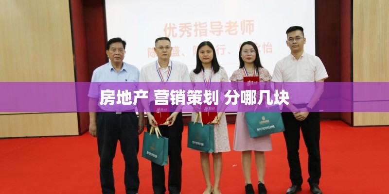 房地产 营销策划 分哪几块