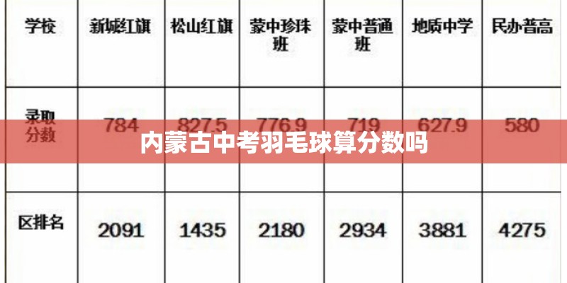 内蒙古中考羽毛球算分数吗