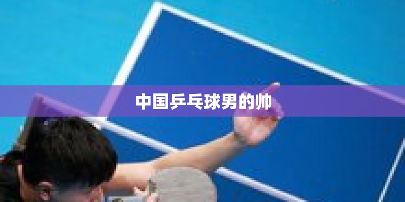中国乒乓球男的帅