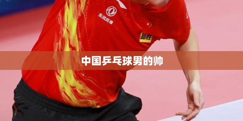 中国乒乓球男的帅