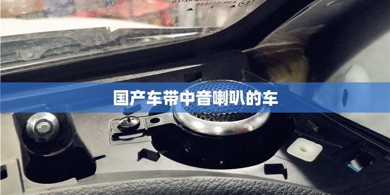国产车带中音喇叭的车