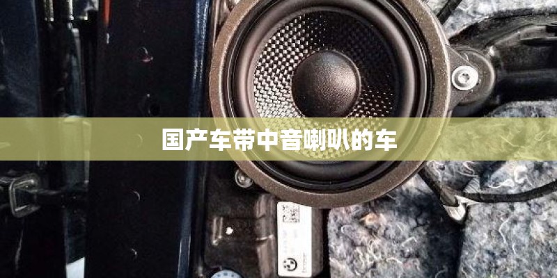 国产车带中音喇叭的车 国产车带中音喇叭的车
