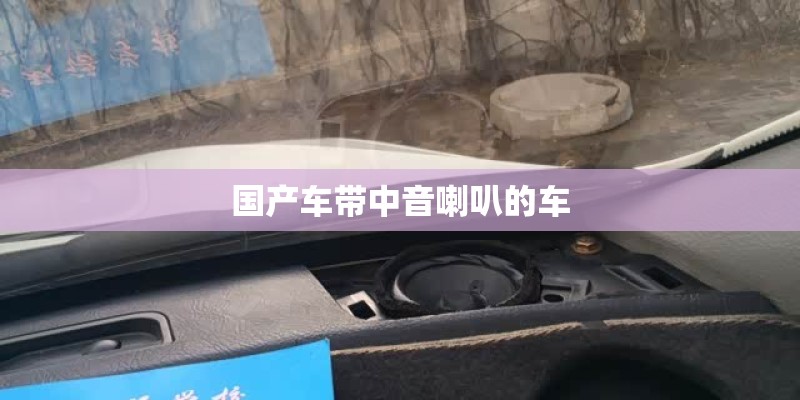 国产车带中音喇叭的车 国产车带中音喇叭的车