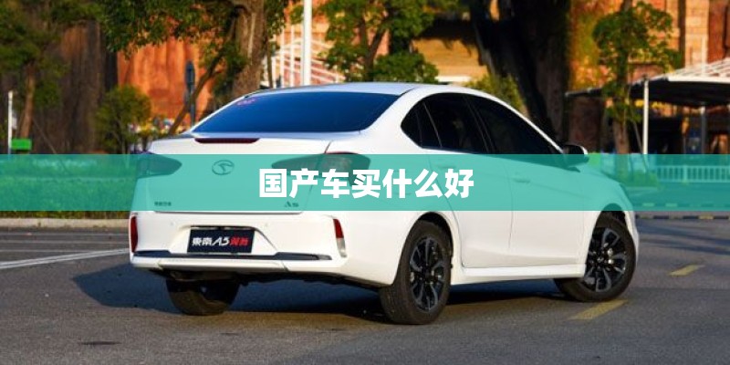 国产车买什么好 国产车买什么好