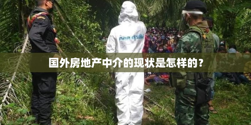 国外房地产中介的现状是怎样的？