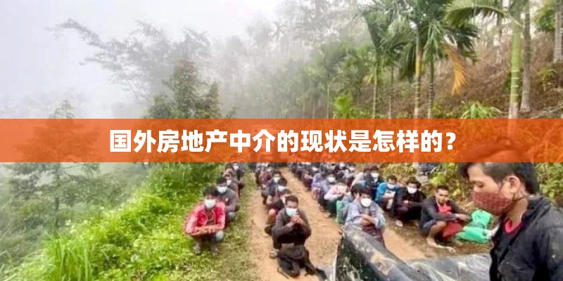 国外房地产中介的现状是怎样的？