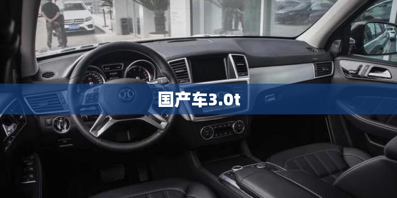 国产车3.0t