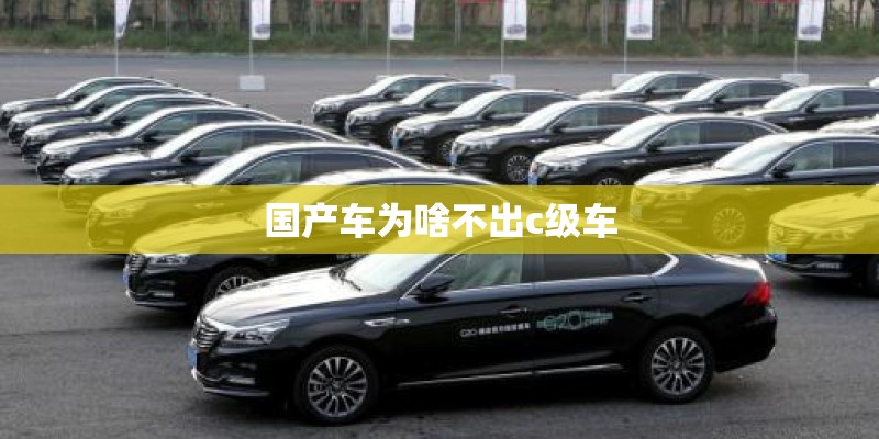 国产车为啥不出c级车