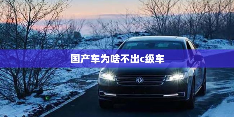国产车为啥不出c级车