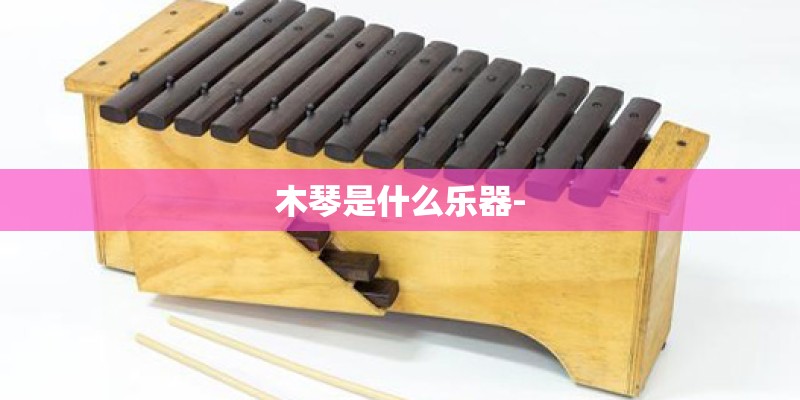 木琴是什么乐器- 木琴是什么乐器-