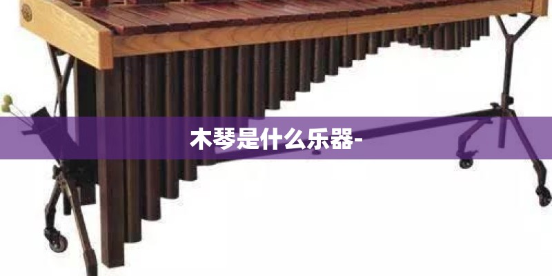 木琴是什么乐器- 木琴是什么乐器-