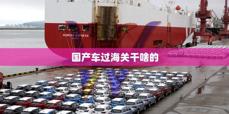 国产车过海关干啥的