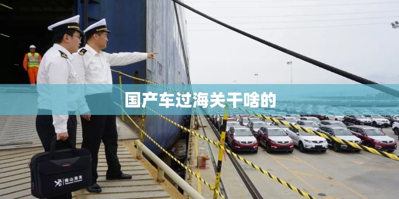 国产车过海关干啥的