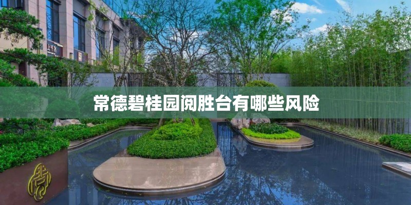 常德碧桂园阅胜台有哪些风险