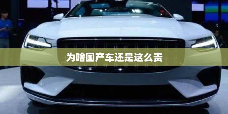 为啥国产车还是这么贵