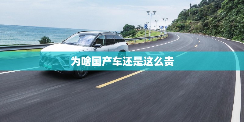 为啥国产车还是这么贵 为啥国产车还是这么贵