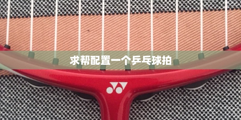 求帮配置一个乒乓球拍