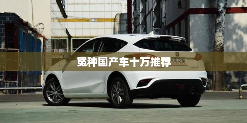 冤种国产车十万推荐