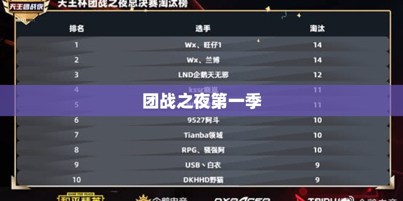 团战之夜第一季