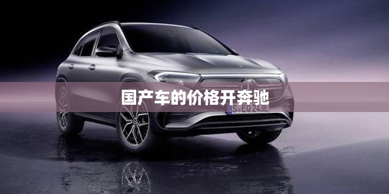 国产车的价格开奔驰