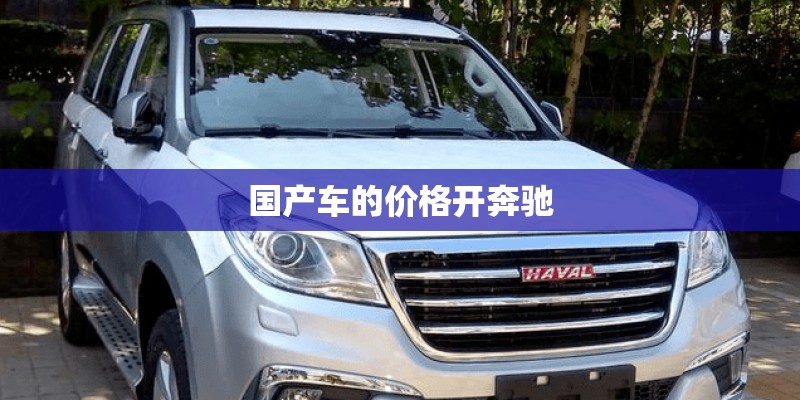 国产车的价格开奔驰