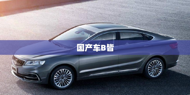 国产车B皆