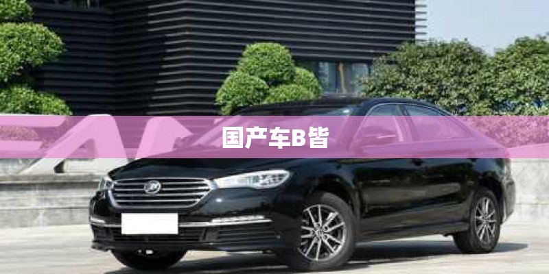 国产车B皆