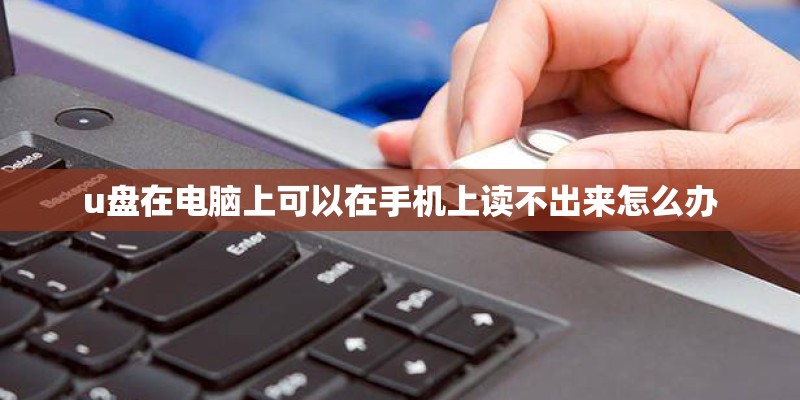u盘在电脑上可以在手机上读不出来怎么办