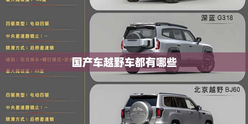 国产车越野车都有哪些