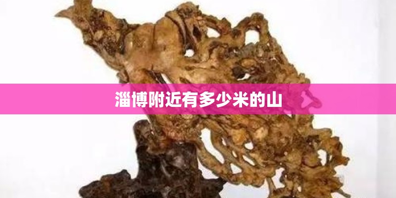 淄博附近有多少米的山