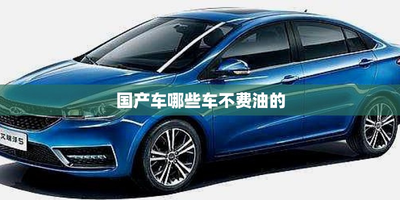 国产车哪些车不费油的