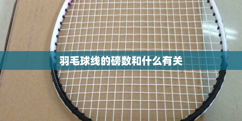羽毛球线的磅数和什么有关