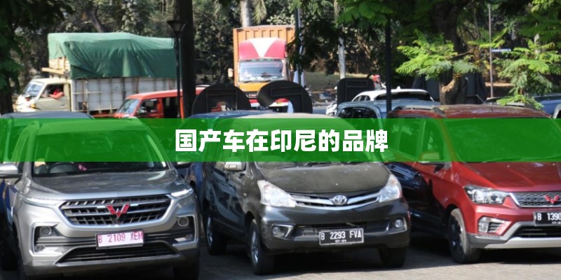 国产车在印尼的品牌