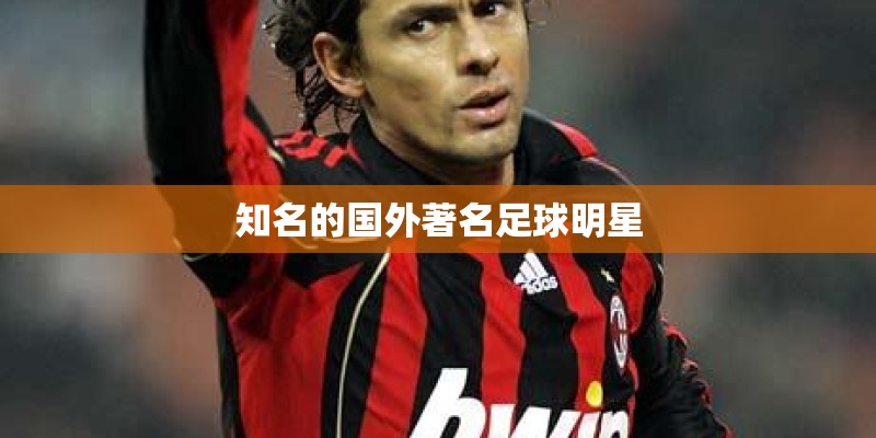 知名的国外著名足球明星