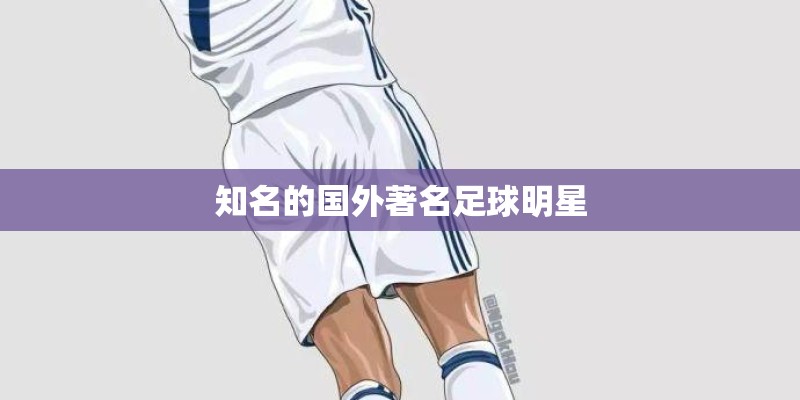 知名的国外著名足球明星