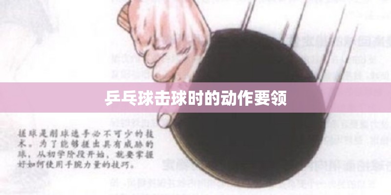 紫色的植物有哪些 有哪些紫色的植物