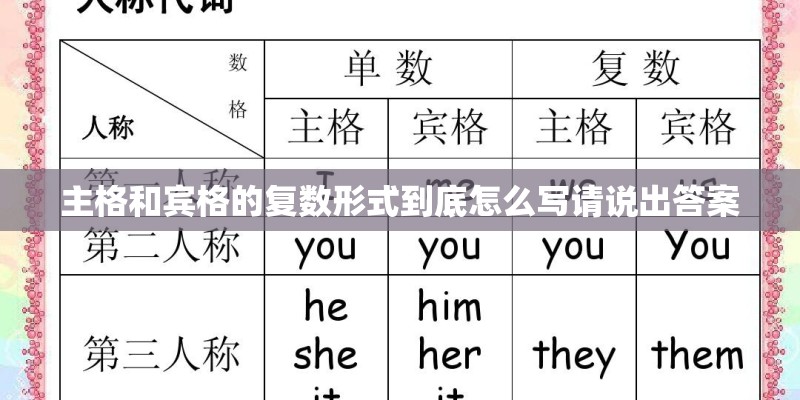 主格和宾格的复数形式到底怎么写请说出答案