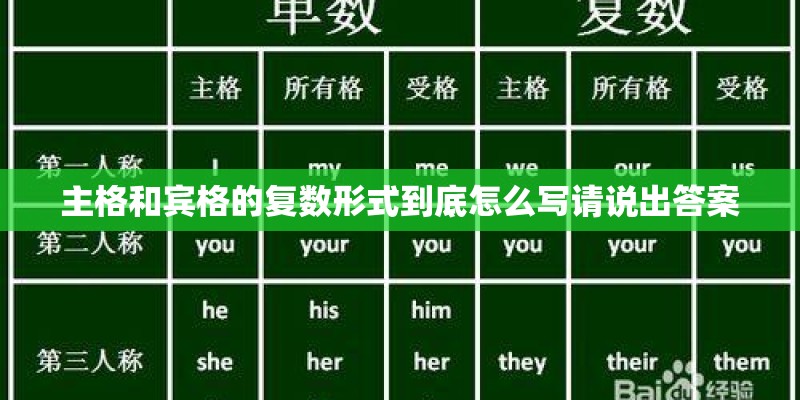 主格和宾格的复数形式到底怎么写请说出答案