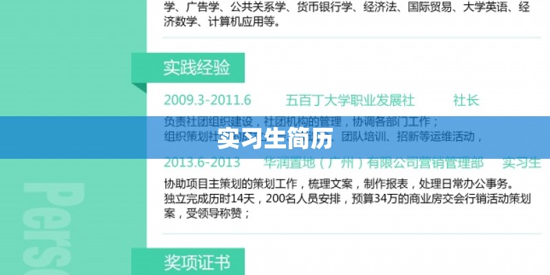 实习生简历