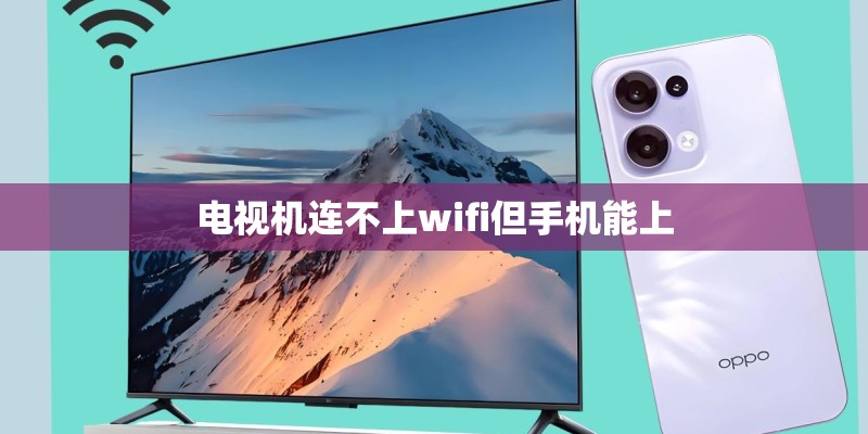 电视机连不上wifi但手机能上