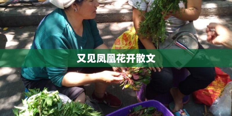 又见凤凰花开散文