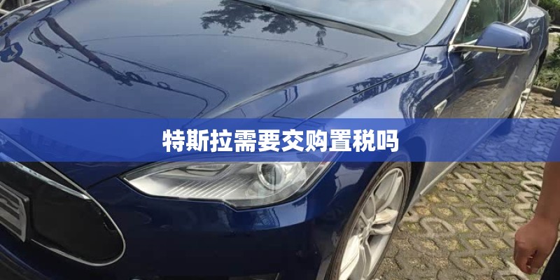 特斯拉需要交购置税吗