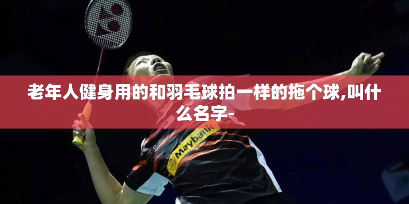 老年人健身用的和羽毛球拍一样的拖个球,叫什么名字-