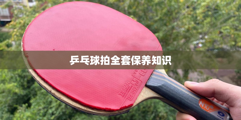 乒乓球拍全套保养知识