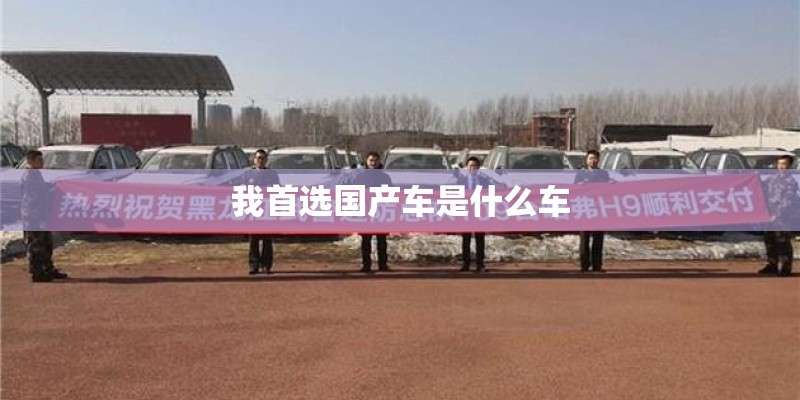 我首选国产车是什么车