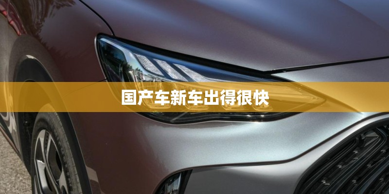 国产车新车出得很快