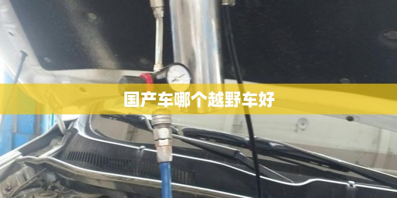 国产车哪个越野车好 国产车哪个越野车好